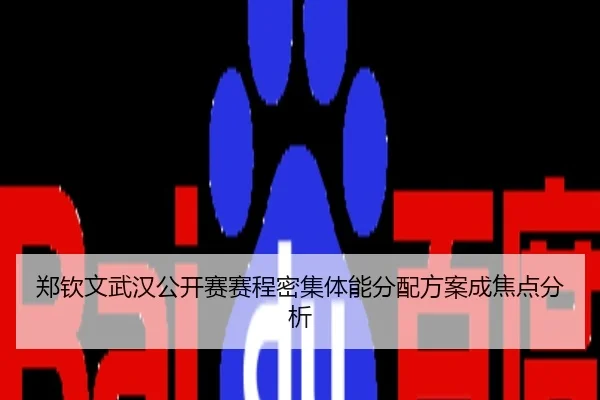 郑钦文武汉公开赛赛程密集体能分配方案成焦点分析